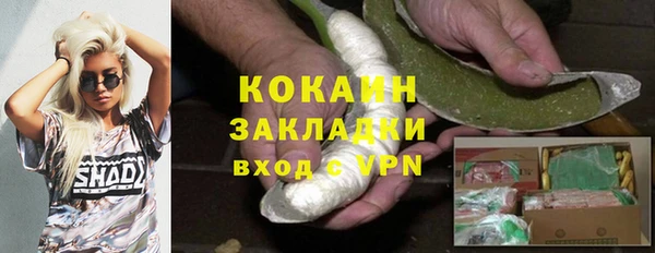 PSILOCYBIN Бородино