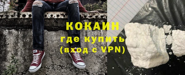 гидра Бронницы