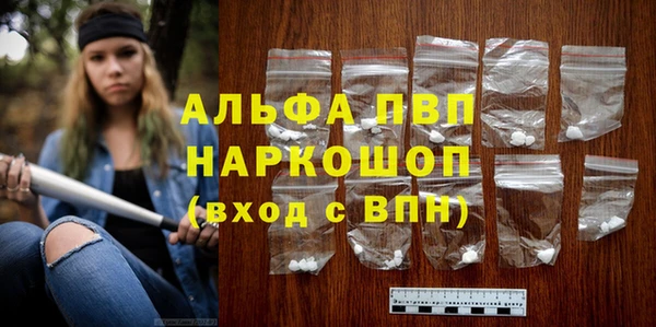 PSILOCYBIN Бородино