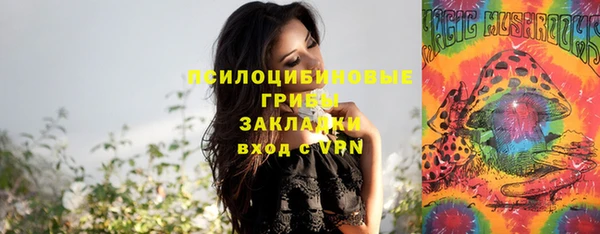 гидра Бронницы