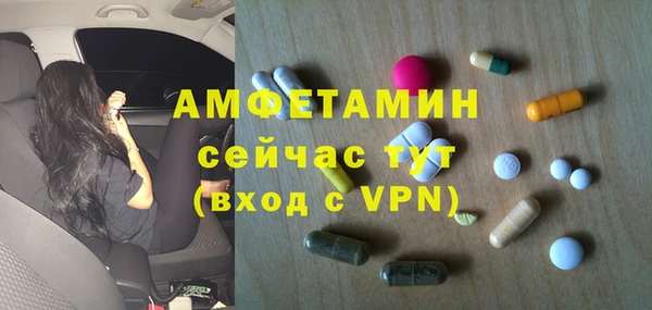 PSILOCYBIN Бородино