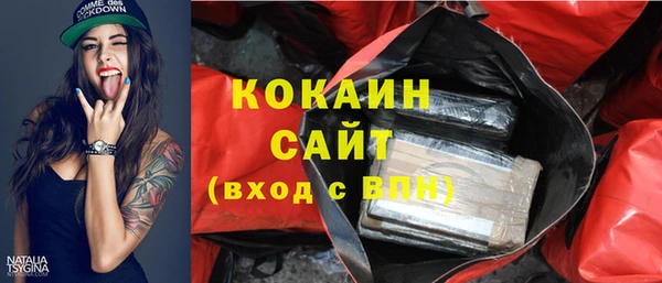 гидра Бронницы