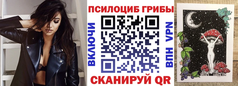 Галлюциногенные грибы Cubensis  купить   Ставрополь 